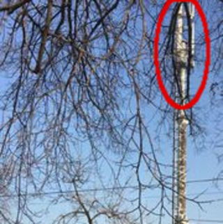 Не наносит ли вред здоровью детей вышка сотовой связи рядом с садиком в 5 мкр в Бишкеке? - житель (фото)