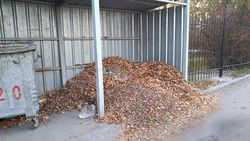 На Валиханова-Анкара уже две недели не убирают собранные листья