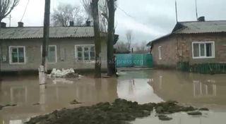 В селе Камышановка затопило дворы и улицы <b><i>(видео)</i></b>