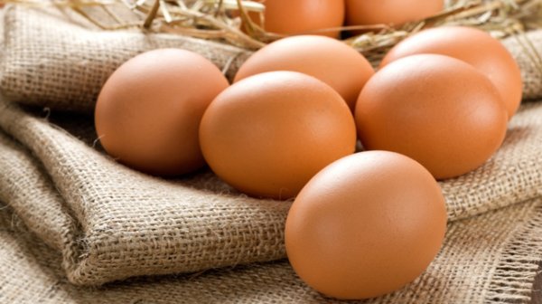 Обзор — Просроченные товары для кыргызстанцев и почему Кыргызстан ввел запрет на ввоз куриных яиц из Казахстана — Tazabek
