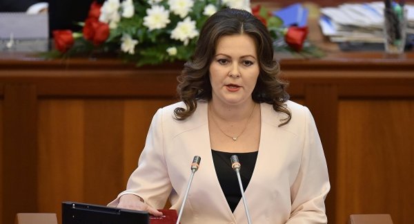 Депутат Н.Никитенко возмутилась тем, что в бюджете запланировали 20 млн сомов на ковровые дорожки и мебель для зала правительства — Tazabek