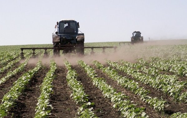 Катар заинтересован в сотрудничестве в сфере сельского хозяйства, - Минсельхоз — Tazabek