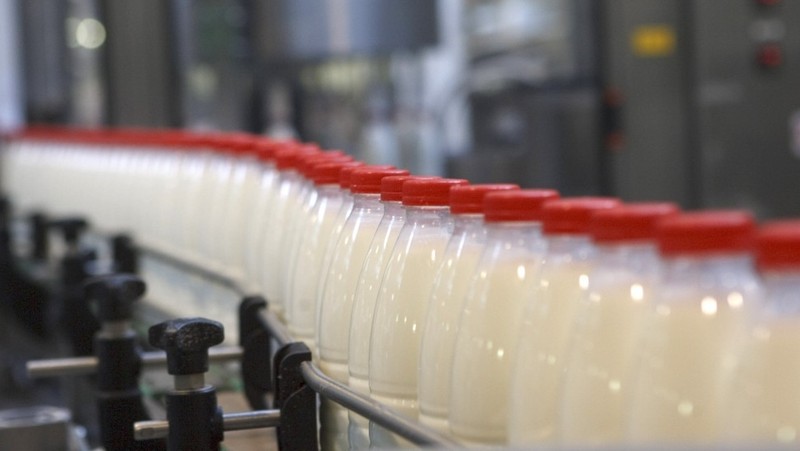 В Караколе запустили пилотный проект по развитию молочного сектора — Tazabek
