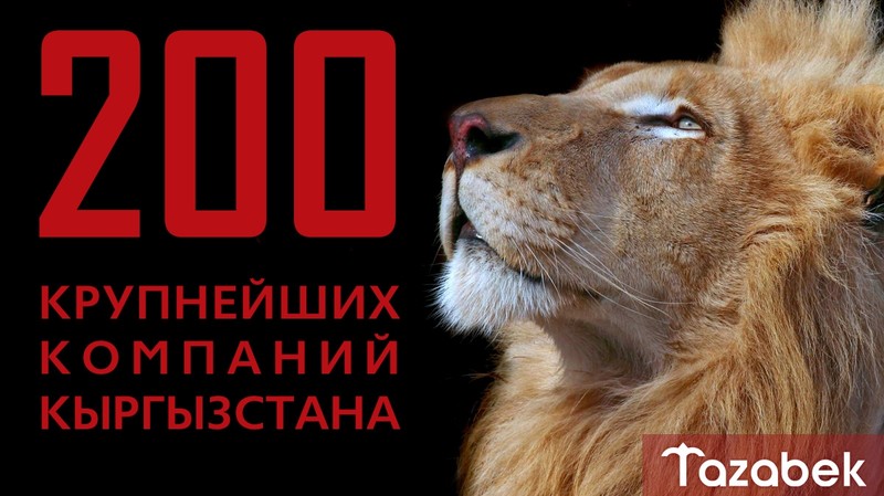 ТОП-200: «Золото по цене меди» - до 1 ноября — Tazabek