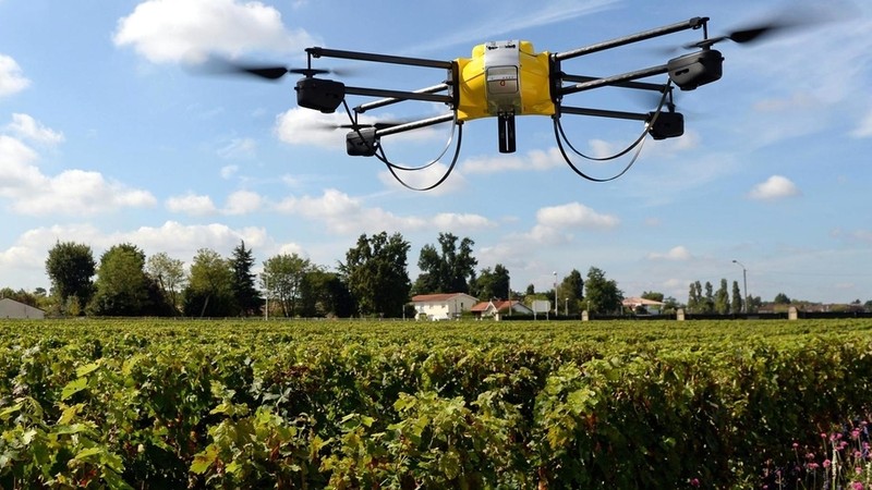 Технологии «сельское хозяйство 4.0» позволяют использовать фермерам дроны, чтобы определить, где и как сеять сельхозкультуру, - UNIDO — Tazabek