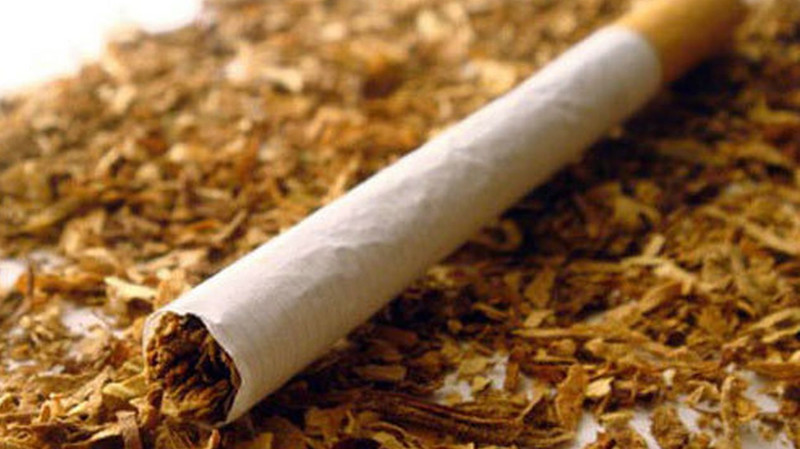 Табачные предприятия: Кто отчисляет в бюджет миллионы?  (список) — Tazabek