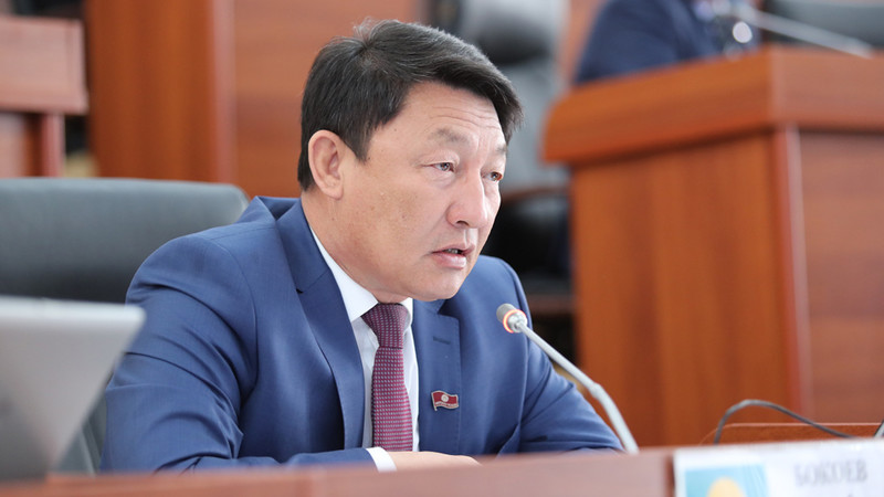 Депутат предлагает отнести вопросы приобретения и установки энергооборудования, обеспечения электроснабжением новых потребителей к ведению распредкомпаний — Tazabek