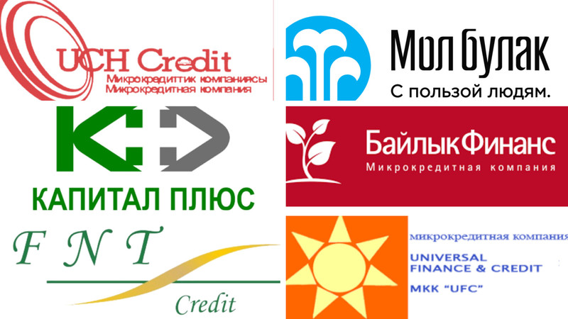  Бизнес 24 финансистов, задействованных в секторе микрокредитования — Tazabek