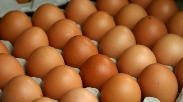Депутат: В Кыргызстан ввозят просроченные яйца из Новосибирска и продают по 2 сома — Tazabek