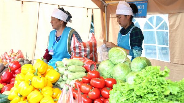 В Бишкеке пройдут сельскохозяйственные ярмарки — Tazabek
