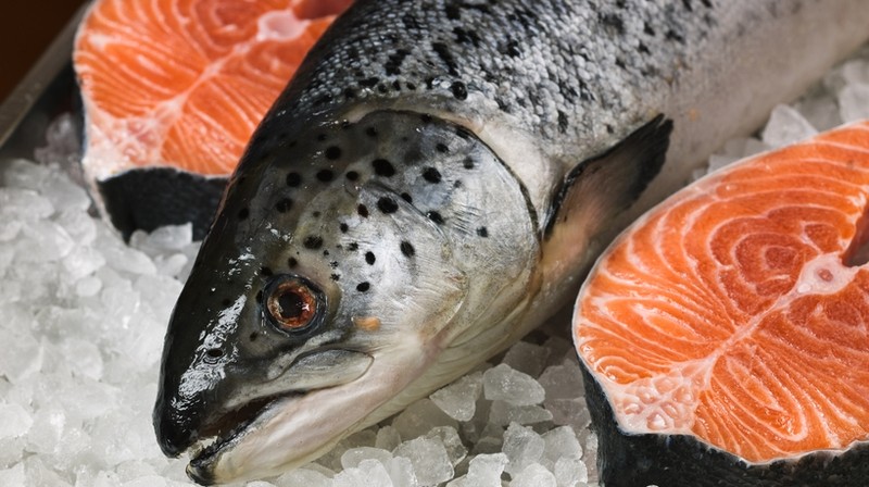 За 5 месяцев Кыргызстан импортировал 41 тонну лососи — Tazabek