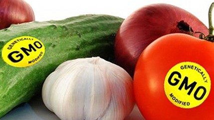 ЕЭК обязала производителей указывать применение ГМО на упаковках пищевых продуктов — Tazabek
