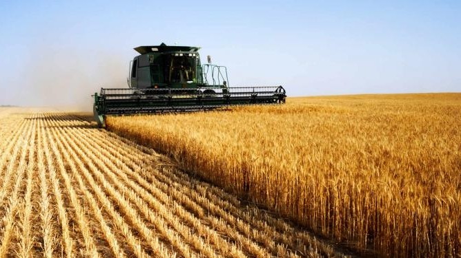 За 2017 год объем валовой продукции сельского хозяйства вырос на 2,2% и составил 207,3 млрд сомов — Tazabek