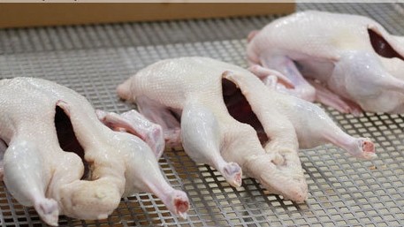 Депутат: На рынках Кыргызстана продается утиное мясо из Китая, которое запрещено к ввозу в ЕАЭС из-за птичьего гриппа — Tazabek