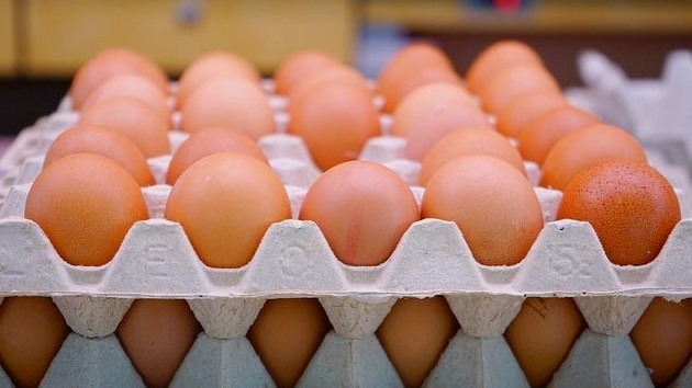 Госветинспекция вернула 11,5 тыс. штук яиц в Казахстан — Tazabek