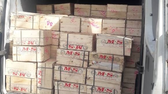 Сотрудники таможни «Баткен» выявили факт незаконного ввоза 2 тонн мандаринов — Tazabek