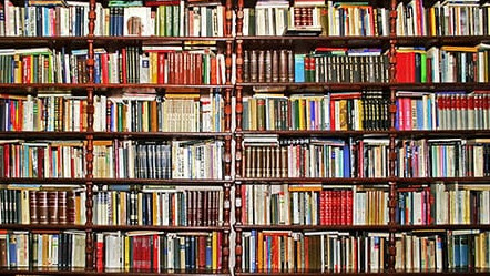 Книжный бизнес: Кто владеет «Раритетом»,  «Фолиантом», Libro? (учредители+сумма отчислений) — Tazabek