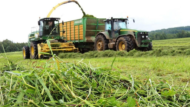 Правительство планирует сократить посевы пшеницы и увеличивать посевные площади многолетних трав — Tazabek