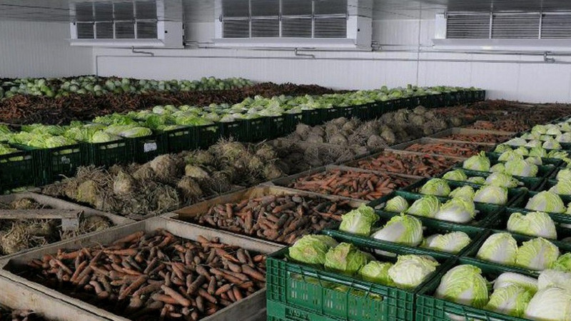 Минсельхоз предложил в 250 айыл окмоту построить овощехранилища и фруктохранилища — Tazabek