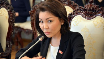 Я так и спросила, - депутат С.Сурабалдиева на замечание министра А.Жаманкулова о стоимости инвест-визы — Tazabek