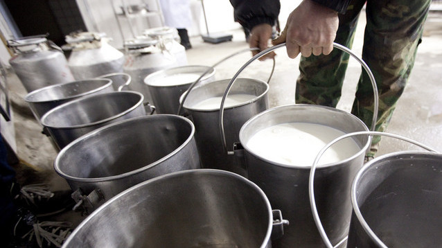 Агробизнес: Пункты приема молока и молочной продукции (руководители, налоги) — Tazabek