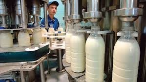 Кыргызстан не сможет импортировать белорусское молоко, если Россия введет запрет на его ввоз, - Минсельхоз — Tazabek