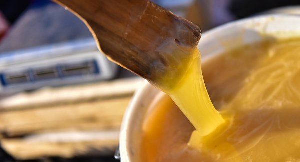 Минсельхоз опроверг сведения, что введен запрет на ввоз кыргызстанского меда в Китай — Tazabek