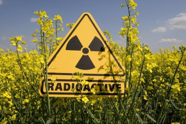 Правительство утвердило положение о проведении дезактивации и радиационного контроля машин из Японии с повышенным радиационным фоном — Tazabek