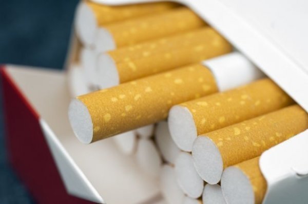 В 2017 году ГНС планирует собрать 7,3 млрд сомов акцизного налога на табак — Tazabek
