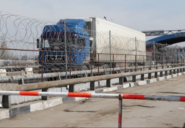 Казахстан вернул в Кыргызстан 61 тонну подкарантинной продукции, следовавшей без сертификатов — Tazabek