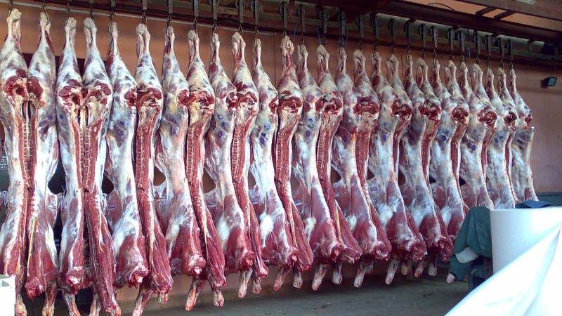 Кыргызстан в 2016 году в основном поставлял мясо в Пакистан и Китай, в страны ЕАЭС экспорт не осуществлялся, - Минсельхоз — Tazabek