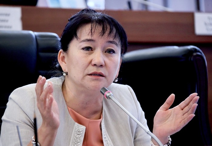 Депутат А.Алтыбаева: Нацэнергохолдинг — очень закрытая компания — Tazabek