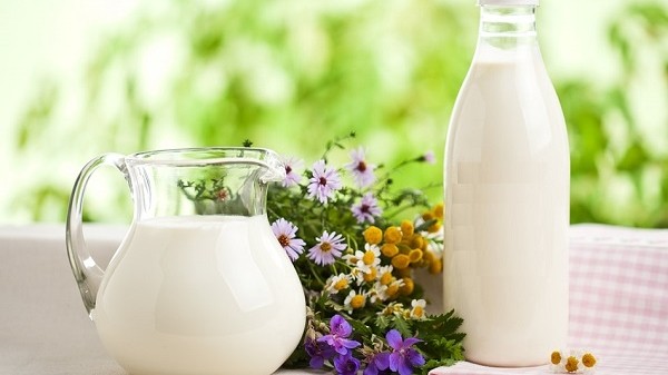 За 11 месяцев 2017 года по республике произведено 1,4 млн тонн молока, - Минсельхоз — Tazabek