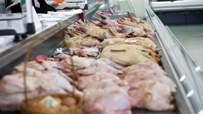 Птичий бизнес: Объем рынка мяса птицы и яиц достиг 6,6 млрд сомов (компании, налоги) — Tazabek