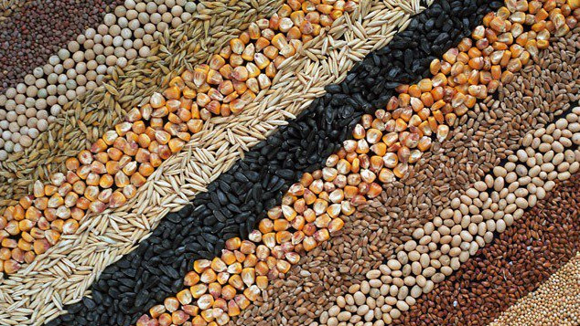 Какова обеспеченность республики семенами сельхозкультур к весеннему посеву 2019 года? — Tazabek