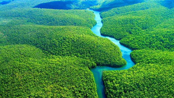Эмне үчүн мектептик география китебинде дүйнөдөгү эң узун дарыя катары Амазонка эмес, Нил көрсөтүлгөн? (автордун түшүндүрмөсү)
