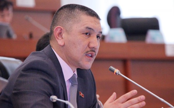 За 9 месяцев Кыргызстан импортировал из Китая 2 тонны свинины и 38 тыс. тонн мяса птицы, - депутат Т.Зулпукаров — Tazabek
