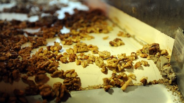 В 2017 году Индия снимет запрет на ввоз грецких орехов из Кыргызстана, - предприниматель — Tazabek