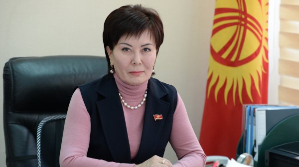 Только уставной капитал спиртзаводов стоит 10 млн сомов, - депутат Г.Асылбаева — Tazabek
