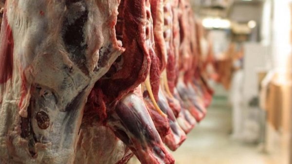 В 2017 году рост производства мяса в живом весе прогнозируется на уровне 2,7%, - Минэкономики — Tazabek