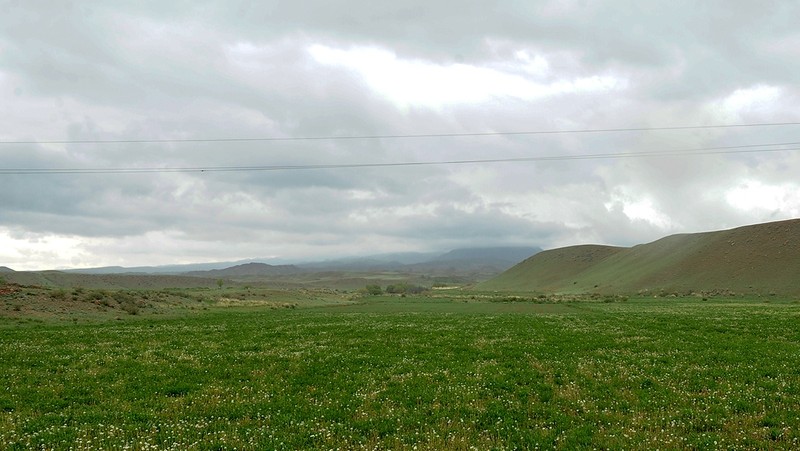 В Кыргызстане насчитывается 1023 тыс. га орошаемых земель — Tazabek
