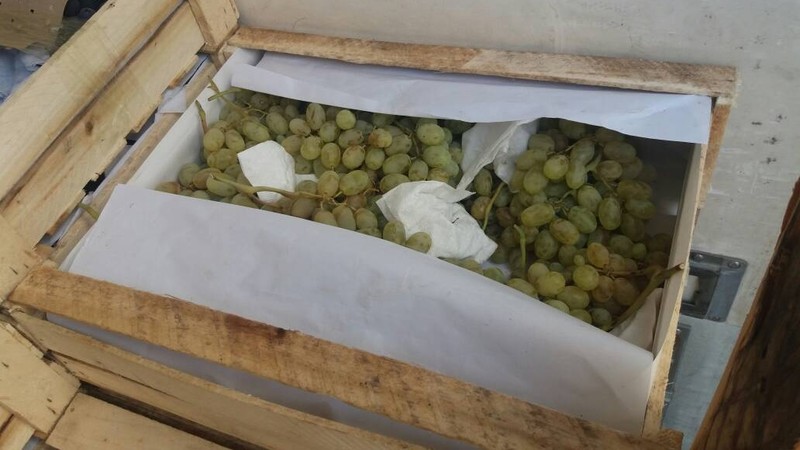 Таможня пресекла контрабандный ввоз около 6 тонн винограда из Таджикистана — Tazabek