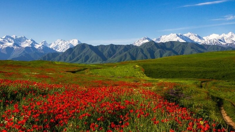 Департамент туризма определит туристические зоны в каждой области Кыргызстана — Tazabek