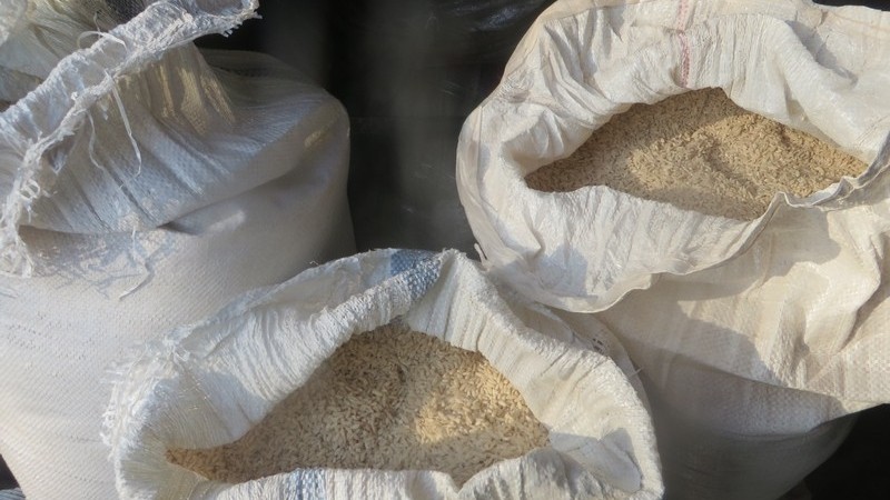 Россельхознадзор не пропустил 3,6 тонны риса и фасоли из Кыргызстана без фитосанитарного сертификата — Tazabek