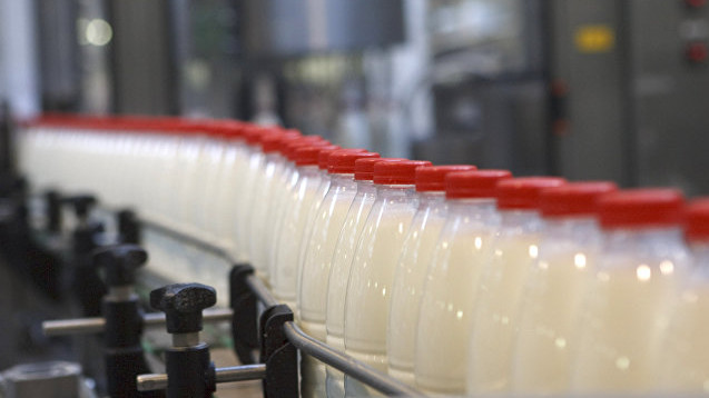 Минсельхоз отмечает небольшое снижение производства молока в Таласской области — Tazabek