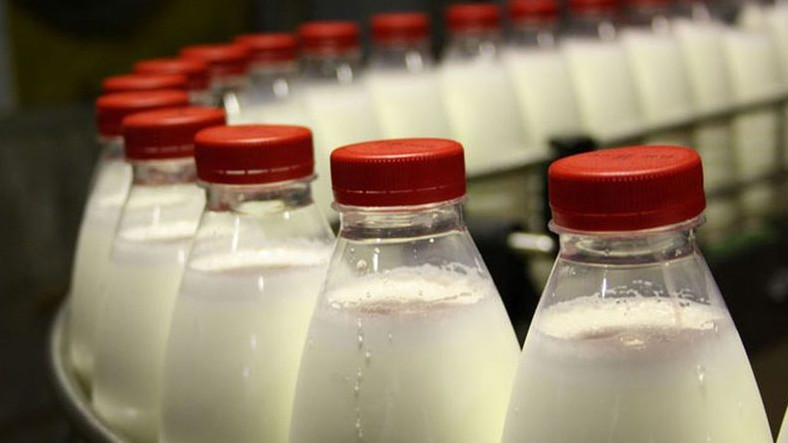 Кыргызстан за 9 месяцев 2018 года экспортировал 19 тыс. тонн молока, - Госветинспекция — Tazabek