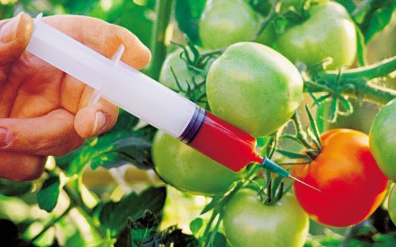 В ЕАЭС ввели дополнительные требования к маркировке продуктов с ГМО — Tazabek