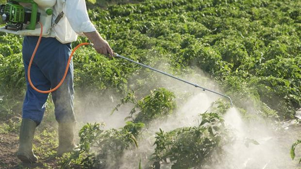 В 2018 году в Кыргызстан завезли 526,8 тонны пестицидов при потребности в 517 тонн — Tazabek