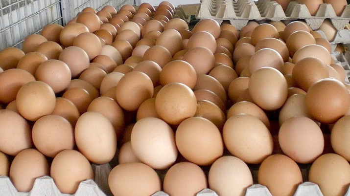 В каком регионе Кыргызстана производится наибольшее количество яиц? — Tazabek