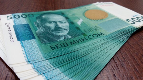 Кыргызский сом укрепился против доллара на 9% с начала 2016 года, - Минэкономики — Tazabek